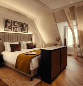 Junior Suite 1 King Bed 1 Sofabed